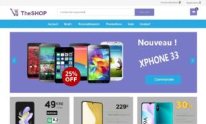 vente en ligne avec woocommerce et SITE WEB PRO DESIGN