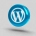 icone wordpress