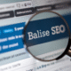 Loupe qui zoome au dessus de "Balise SEO" seo